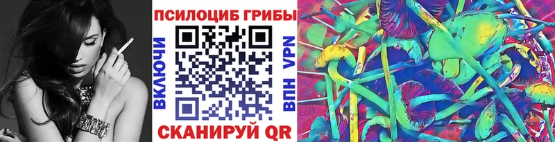 Галлюциногенные грибы Psilocybine cubensis  Североморск 