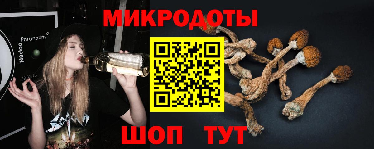 Галлюциногенные грибы Psilocybe Североморск