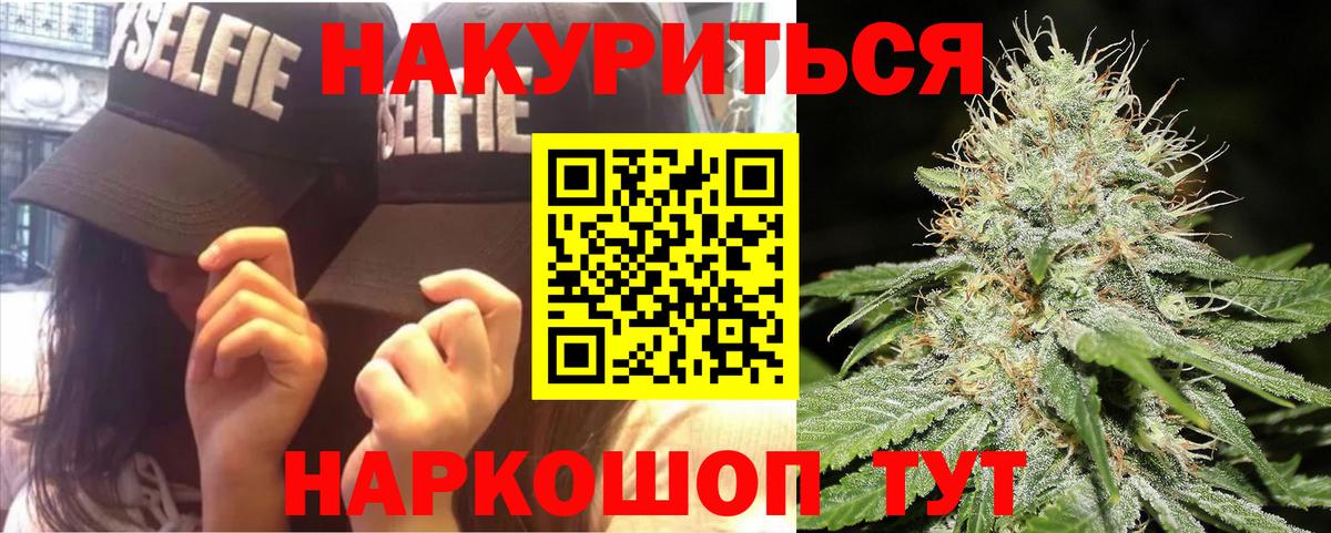 Конопля сатива Североморск